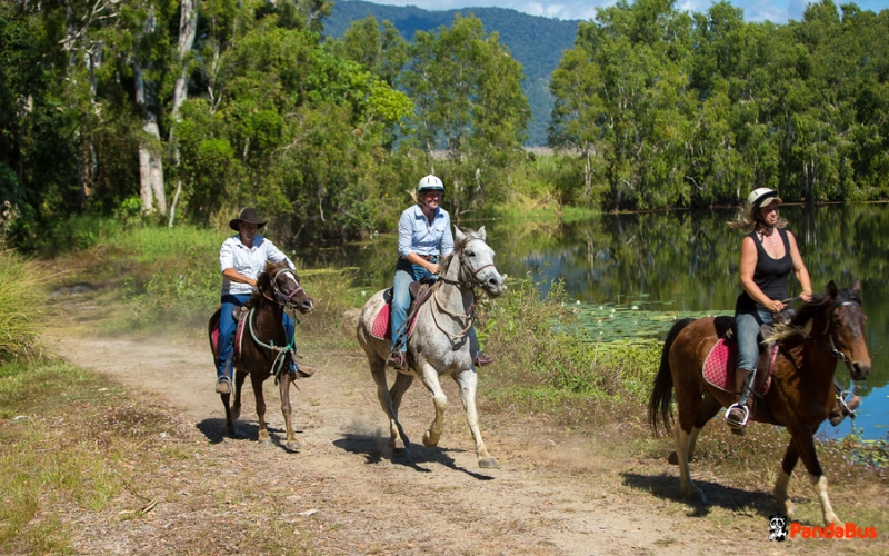 オーストラリア｜予約｜【ケアンズ】半日ホースライディング
